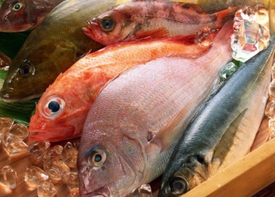 Витрина с рыбой и морепродуктами