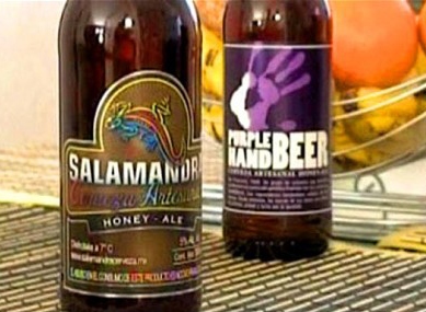 Пиво Salamandra (Саламандра) для сексуальных меньшинств